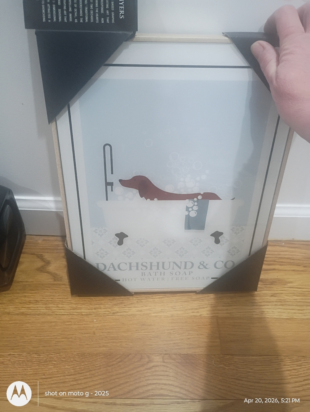 Dachshund Dog Framed Wall Art Decor